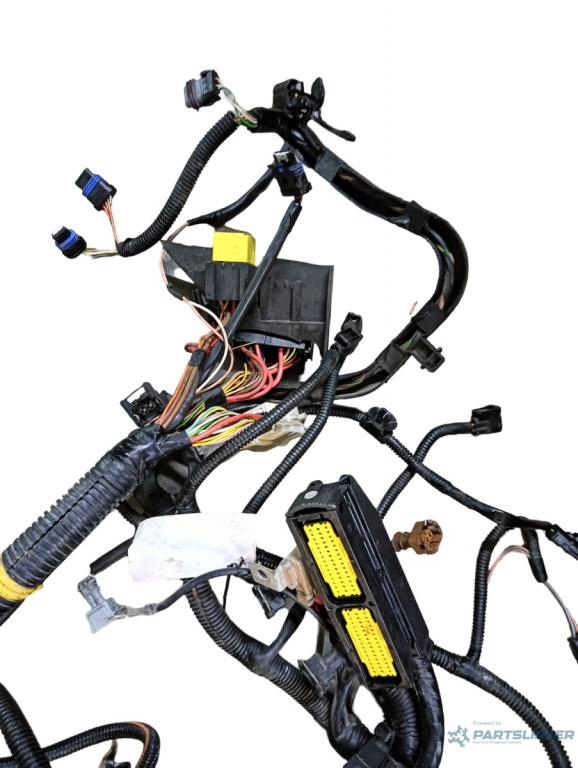 Instalatie electrica usa RENAULT Symbol II [ 2008 - 2013 ]
