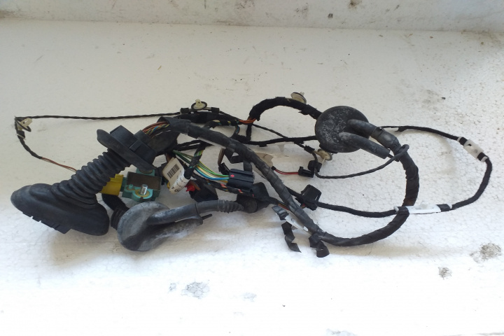Instalatie electrica usa spate dreapta 4F1971030A A31L1 4F1971030A Audi A6 4F/C6 [2004 - 2008] Sedan 2.0 TDI MT (140 hp)