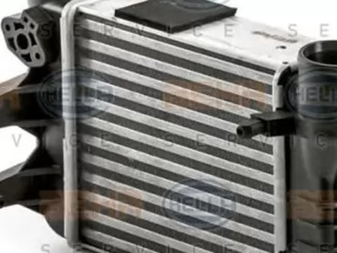 Intercooler AUDI A4 8E2 B6 HELLA 8ML 376 900-371 PieseDeTop