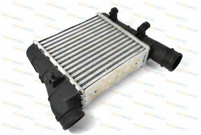 Intercooler AUDI A4 8E2 B6 THERMOTEC DAA001TT Pies