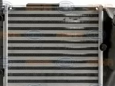 Intercooler AUDI A4 Cabriolet 8H7 B6 8HE B7 HELLA 8ML 376 900-391 PieseDeTop