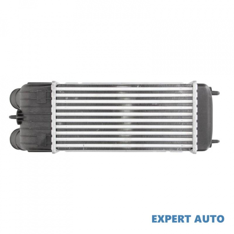 Intercooler, compresor Citroen C3 I (FC_) 2002-2016 #2 0384J4