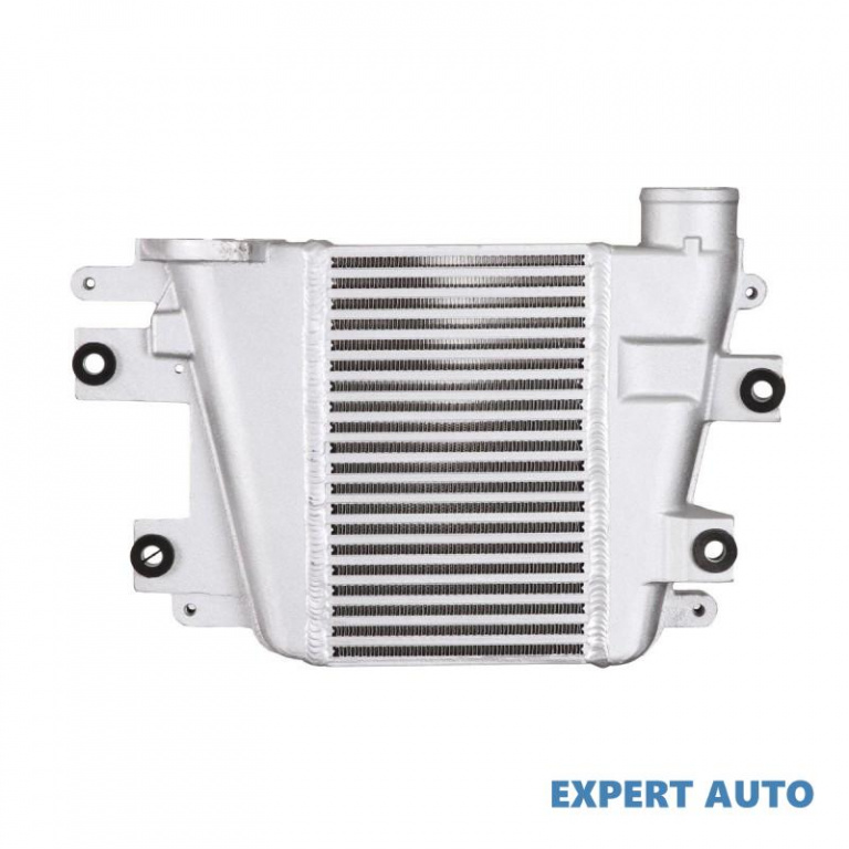 Intercooler, compresor Nissan TERRANO Van (R20) 19