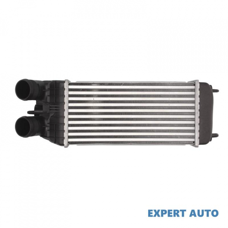 Intercooler, compresor Peugeot 207 CC (WD_) 2007-2016 #4 0384N7