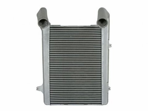 Intercooler DAF XF 105 THERMOTEC DADA002TT