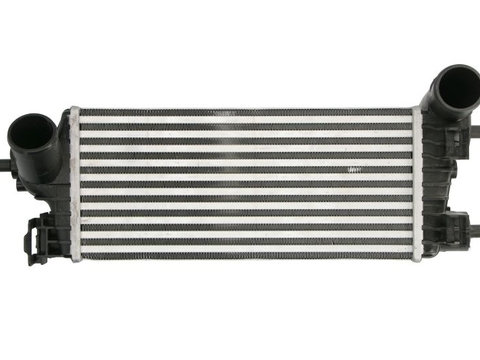 INTERCOOLER ~ DAG032TT ~ THERMOTEC ~ FORD FOCUS III 1.0 EcoBoost 100cp 125cp 140cp 2012 2013 2014 2015 2016 2017 2018 2019 2020