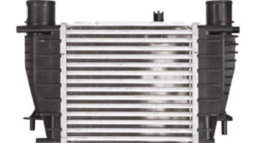 Intercooler NISSAN CUBE, JUKE, NOTE, NV200, NV200 / EVALIA, RENAULT CLIO III, MODUS 1.2-1.6 -12.14