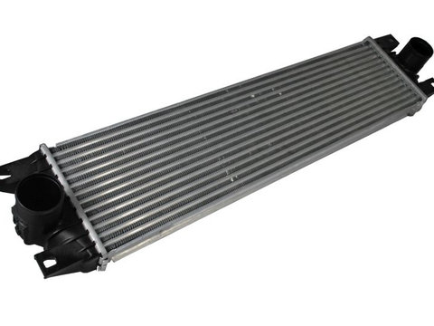 INTERCOOLER NISSAN INTERSTAR Van (X70) dCi 120 dCI 90 dCi 100 dCi 150 dCi 140 dCi 115 dCi 80 101cp 115cp 120cp 136cp 145cp 82cp 90cp 99cp THERMOTEC DAR003TT 2002 2003 2004 2005 2006