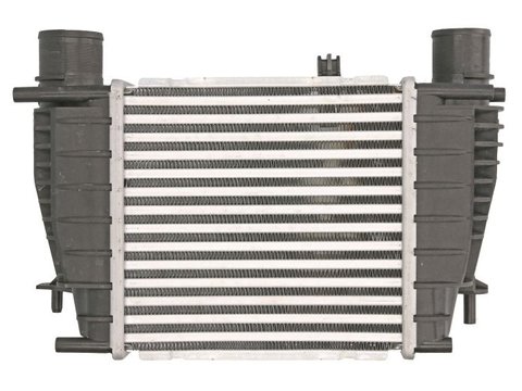 INTERCOOLER RENAULT CLIO III Grandtour (KR0/1_) 1.5 dCi (KR1C, KR1N) 1.5 dCi (KR0H, KR1S) 1.2 16V (KR0P) 1.5 dCi (KR0F) 1.5 dCi 1.2 16V 1.5 dCi (KR0G) 101cp 103cp 106cp 65cp 68cp 86cp 88cp THERMOTEC DA1003TT 2007 2008 2009 2010 2011 2012