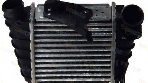 Intercooler SKODA FABIA 6Y2 THERMOTEC DAW006TT