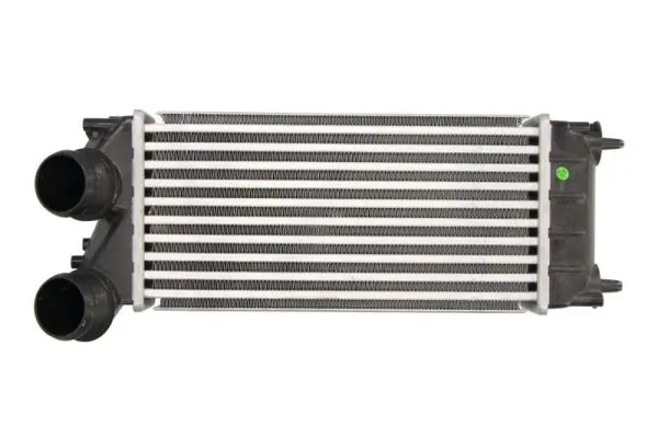 Intercooler Thermotec DS DS 4 / DS 4 CROSSBACK (NX_) 2015-2018 - DAC012TT