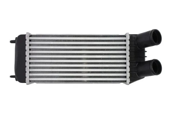 Intercooler Thermotec FIAT SCUDO caroserie (270_, 272_) 2007-2016 - DAP006TT