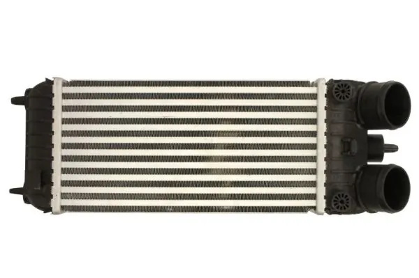 Intercooler Thermotec NISSAN PATROL GR V Wagon (Y61) 1997-2000 - DAP007TT
