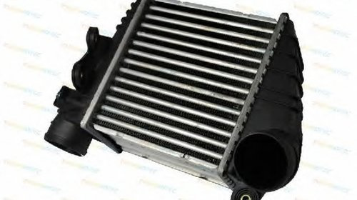 Intercooler VW GOLF IV 1J1 THERMOTEC DAW001TT