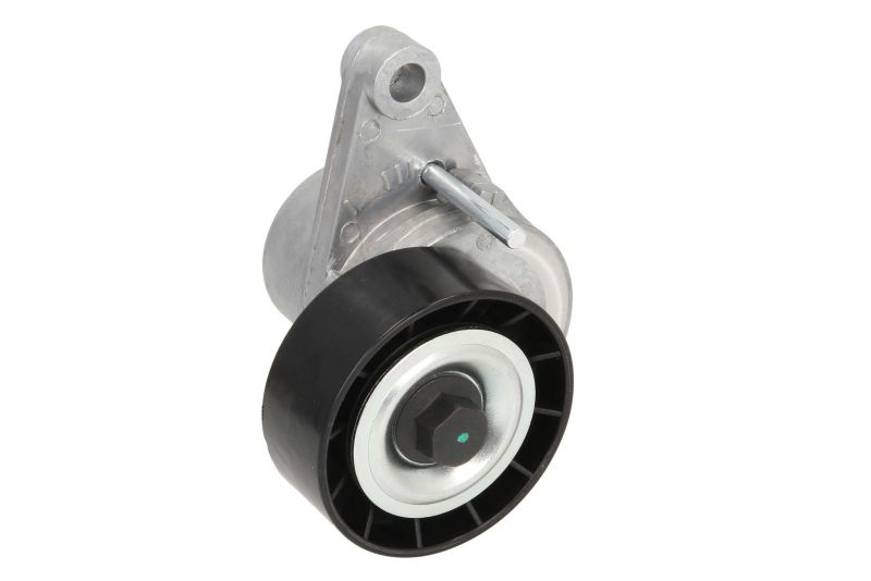 Intinzator curea accesorii PEUGEOT 1007 (KM_) BTA E3C0017BTA
