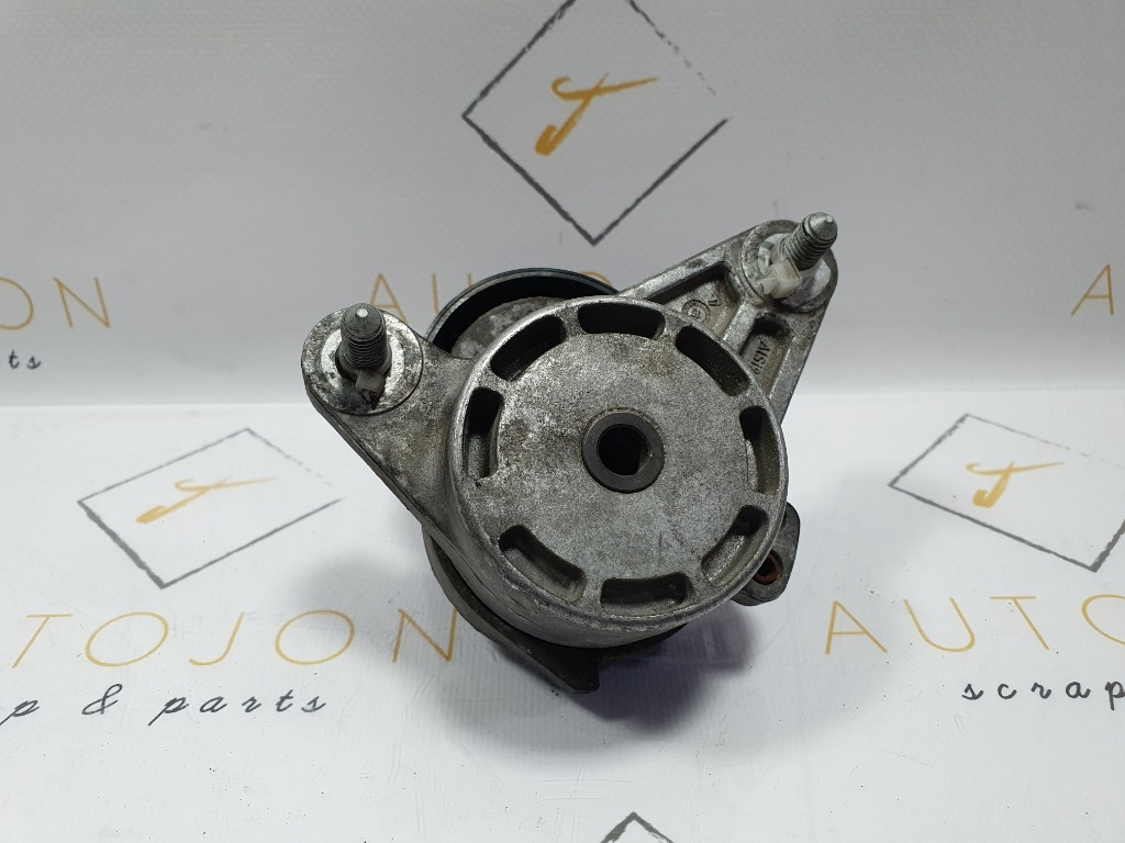 Intinzator curea accesorii VOLKSWAGEN PASSAT Varia