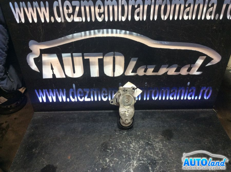 Intinzator Curea Alternator 1.4 HDI Peugeot 206 hatchback 2A/C 1998