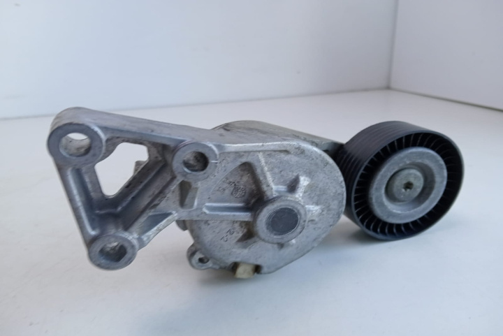Intinzator curea Alternator 950372 Seat Toledo 2 [1999 - 2006]