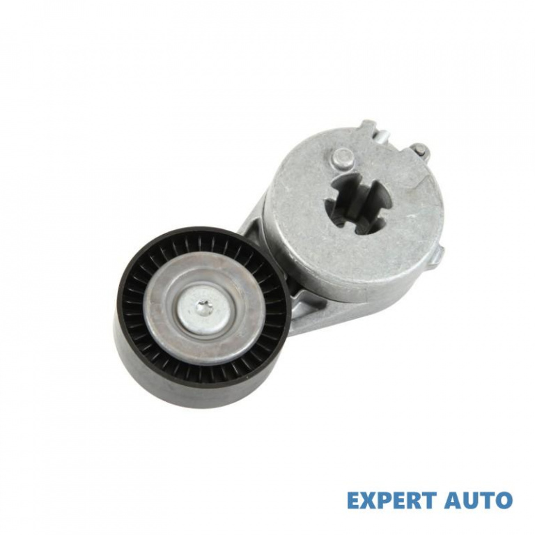 Intinzator curea Audi AUDI A4 Avant (8K5, B8) 2007