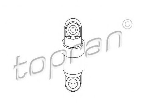 Intinzator curea BMW 3 Cabriolet E36 TOPRAN 500249 PieseDeTop