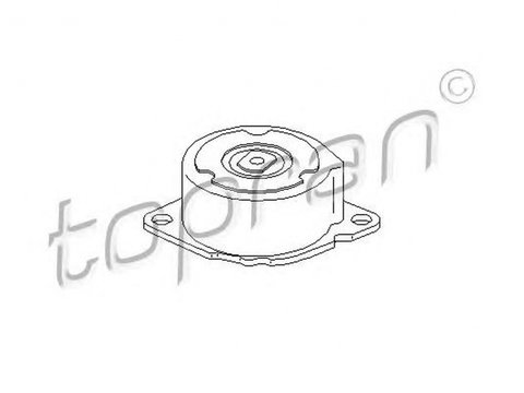 Intinzator curea BMW 3 cupe E46 TOPRAN 501690 PieseDeTop