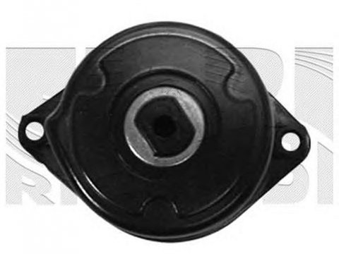 Intinzator curea BMW 3 E90 CALIBER 20962