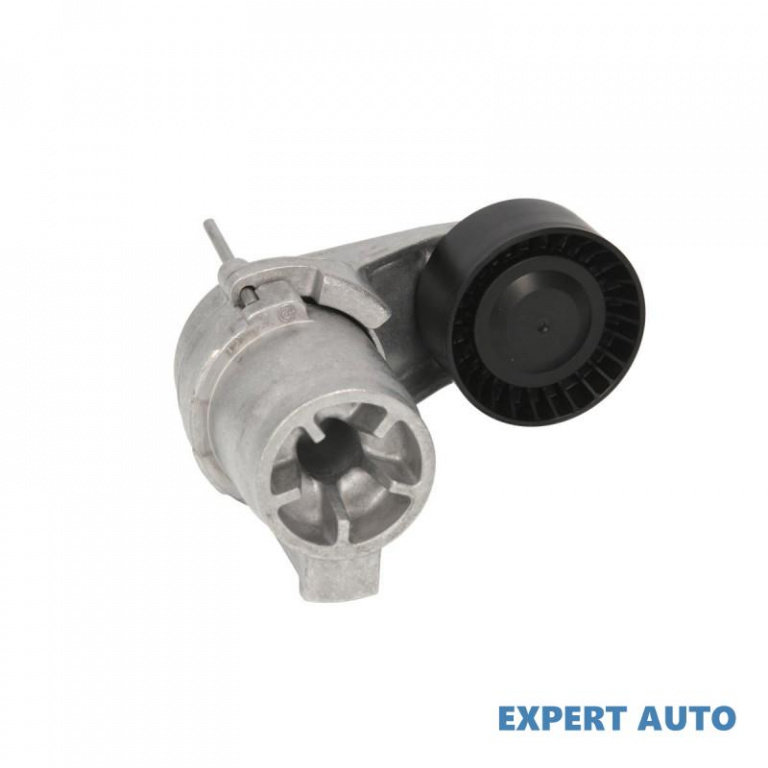Intinzator curea BMW 6 cupe (F13) 2010-2016 #3 11287599097