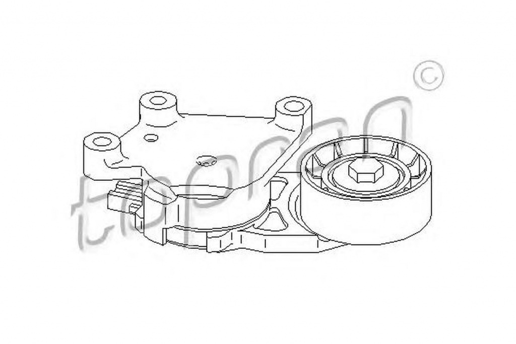 Intinzator curea CITROEN C3 II TOPRAN 302410 PieseDeTop