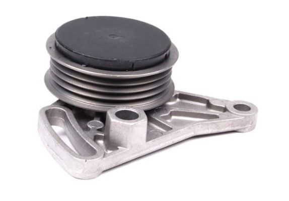 Intinzator curea, curea distributie (12192293 MTR) AUDI,SKODA,VW