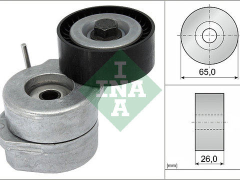 Intinzator curea, curea distributie (534005310 INA) ALFA ROMEO,CHEVROLET,FIAT,OPEL,SUZUKI,VAUXHALL