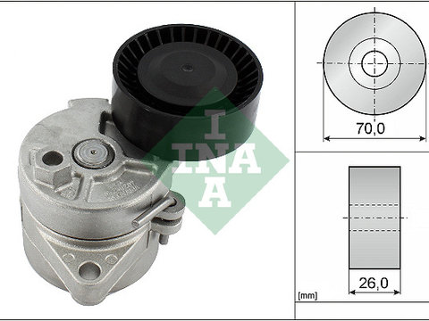 Intinzator curea, curea distributie (534010410 INA) BMW