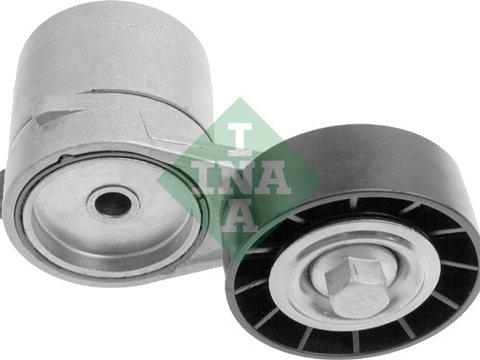 Intinzator curea, curea distributie (534010820 INA) CHEVROLET,HOLDEN,OPEL,VAUXHALL