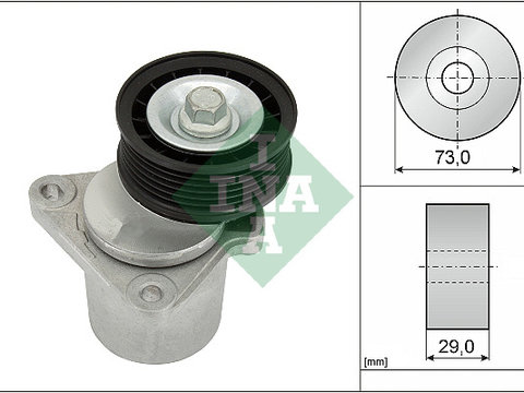 Intinzator curea, curea distributie (534012820 INA) FORD,FORD (CHANGAN),VOLVO