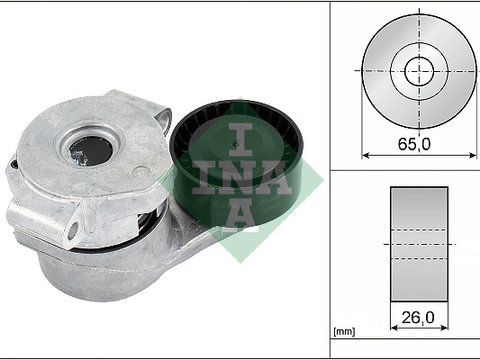 Intinzator curea, curea distributie (534030810 INA) Citroen,FIAT,FORD,FORD (JMC),FORD AUSTRALIA,PEUGEOT