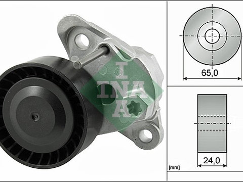 Intinzator curea, curea distributie (534049710 INA) SEAT,SKODA,SKODA (SVW),VW,VW (FAW),VW (SVW)