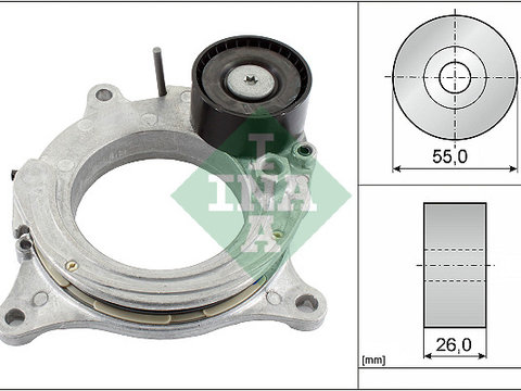 Intinzator curea, curea distributie (534069210 INA) BMW,MINI