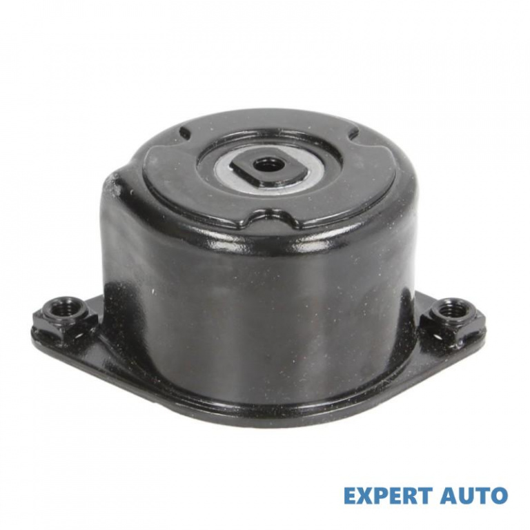 Intinzator curea, curea distributie BMW 7 (E65, E66, E67) 2001-2016 #2 100980