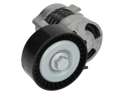 Intinzator curea, curea distributie BMW Seria 3 (E90) (2005 - 2011) DAYCO APV2628 piesa NOUA