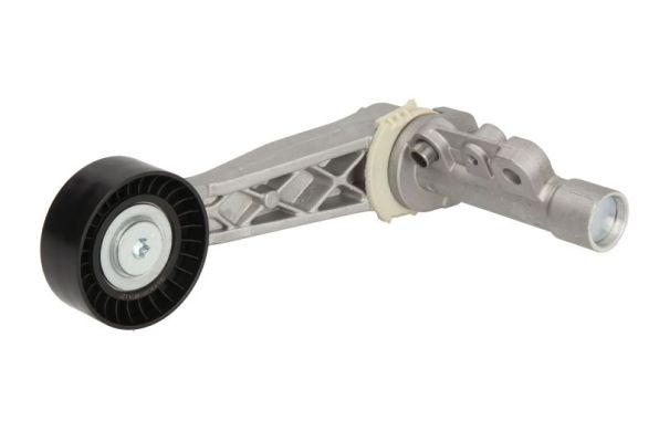 Intinzator curea, curea distributie BTA E3C0019BTA la PEUGEOT 308 I (4A_, 4C_) 2007 2008 2009 2010 2011 2012 2013 2014