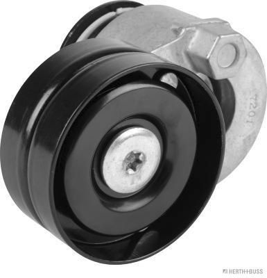 Intinzator curea, curea distributie HERTH+BUSS JAK