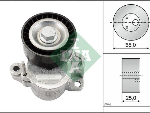 Intinzator curea, curea distributie INA 534 0625 10