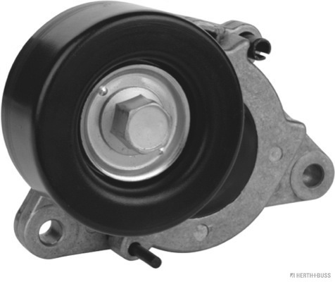 Intinzator curea curea distributie # Nissan Pathfi