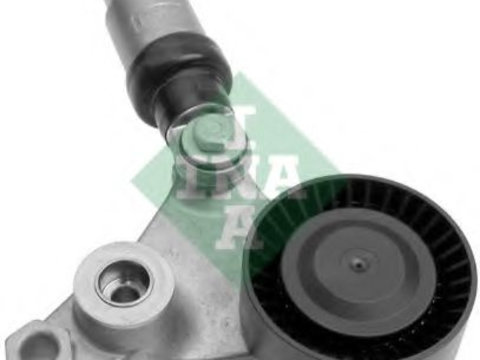 Intinzator curea, curea distributie RENAULT VEL SATIS (BJ0_) (2002 - 2016) INA 534 0024 10