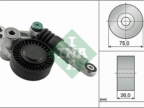 Intinzator curea, curea distributie Schaeffler INA 534 0356 10