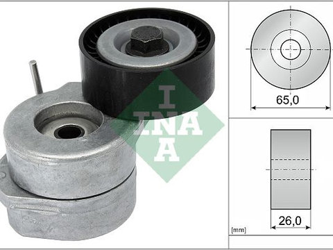 Intinzator curea, curea distributie Schaeffler INA 534 0053 10