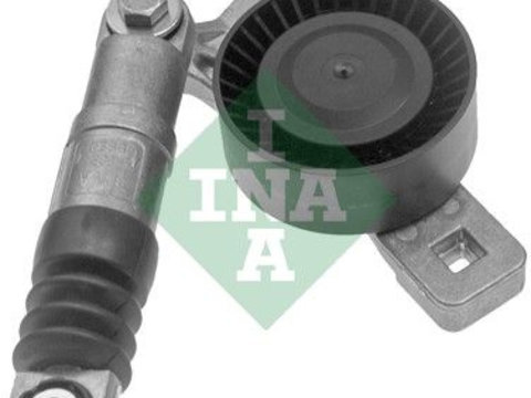 Intinzator curea, curea distributie Schaeffler INA 534 0038 10