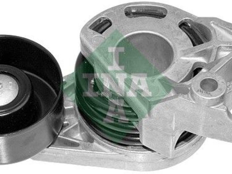 Intinzator curea, curea distributie Schaeffler INA 534 0187 10