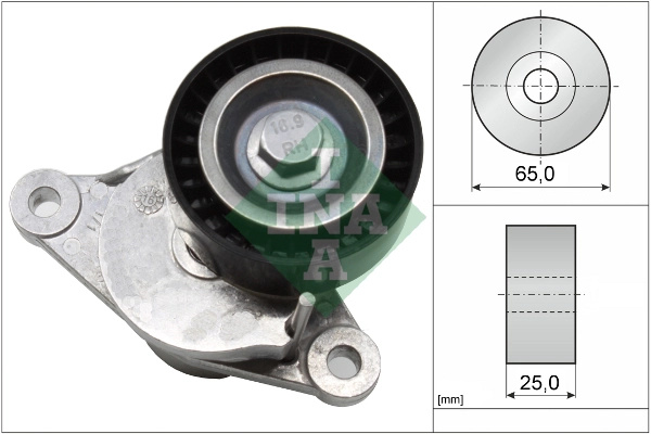 Intinzator curea, curea distributie Schaeffler INA 534 0655 10