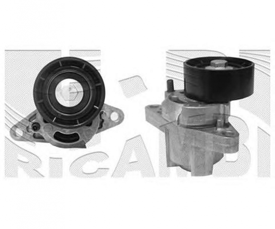Intinzator curea DACIA DUSTER CALIBER 67867