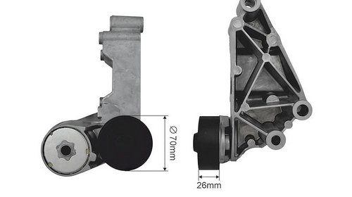 INTINZATOR CUREA DISTRIBUTIE FORD TRANSI